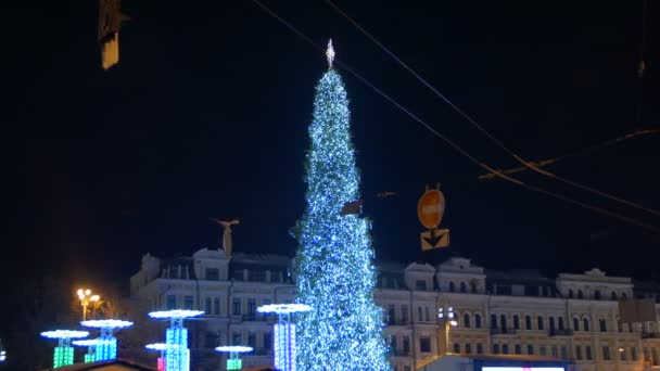Рождественская елка на площади — стоковое видео