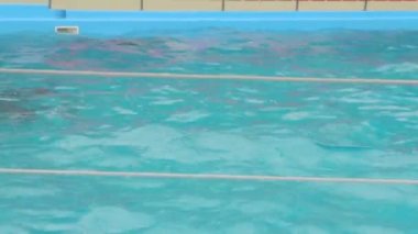 Kadın ve bebek yunus havuzu