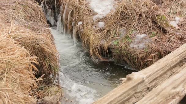 Il corso d'acqua invernale del ghiaccio — Video Stock