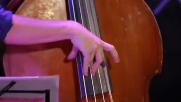 Pukulan Cepat Tangan Double Bass — Stok Video