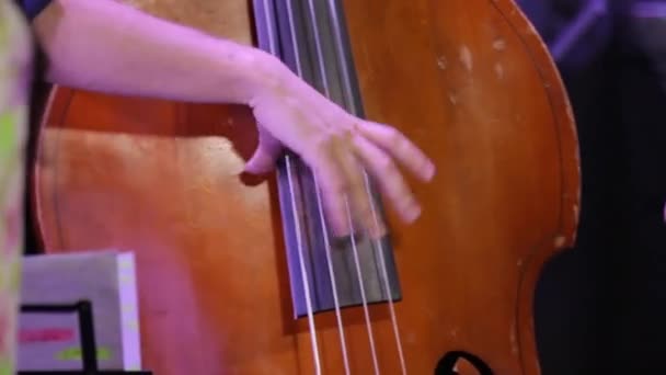 Hand Playing Double Bass — Stock Video