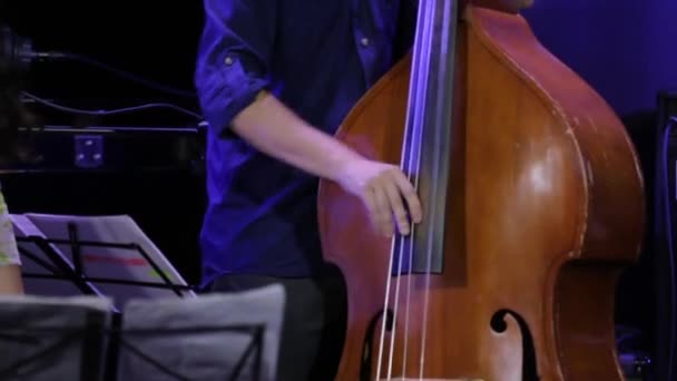 Mans Hand Play Double Bass — Stock Video