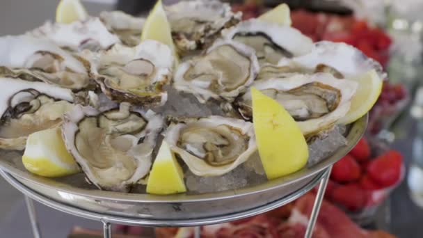 El plato con ostras — Vídeo de stock