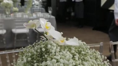 Tasarım beyaz orkide çiçekler