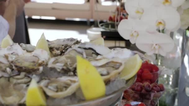 Los platos con ostras — Vídeo de stock