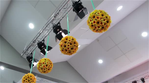 Світлове обладнання дизайн квітів — стокове відео