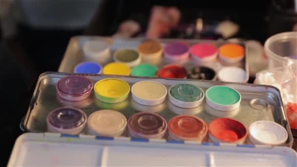 El conjunto de pinturas de maquillaje — Vídeos de Stock