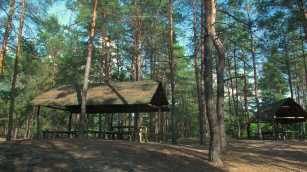 A Gazebo In The Forest — Stock Video