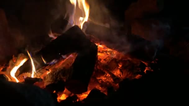 Lagerfeuer Nahaufnahme in der Nacht — Stockvideo