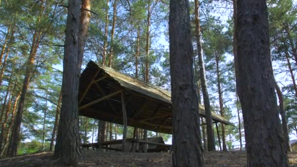 La foresta e Gazebo — Video Stock