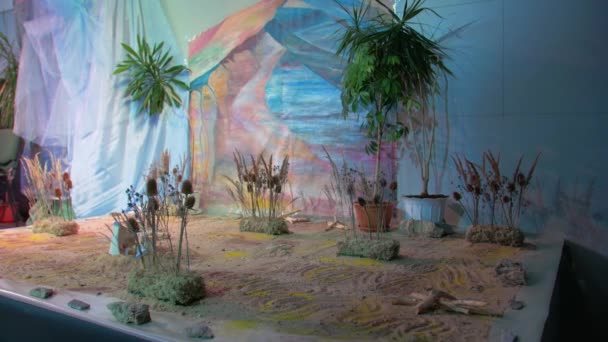 Décoration du désert 