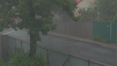 Fırtına Fırtınası