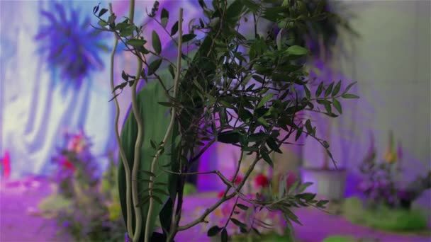 Садово-городній декоративний фонтан — стокове відео