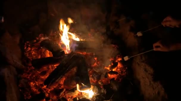 Niños Campfire malvaviscos — Vídeo de stock