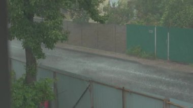 Bir fırtınada arabalar