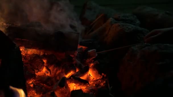 Marshmallow e fogueira — Vídeo de Stock