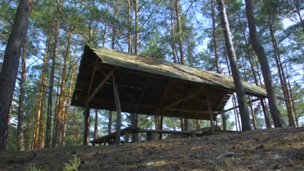 Drewniana altana w lesie — Wideo stockowe