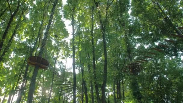 Parque de aventura en el bosque — Vídeos de Stock
