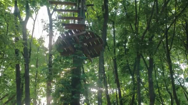 Веревочный парк в лесу — стоковое видео