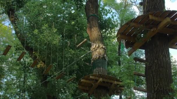 Puente de cuerda en el bosque — Vídeos de Stock