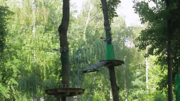 Puente colgante en el bosque — Vídeos de Stock