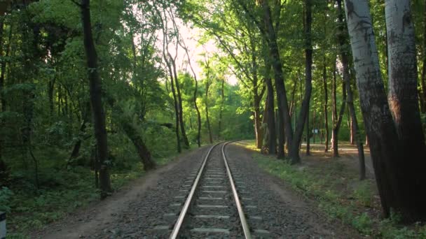 Un ferrocarril en el bosque — Vídeo de stock