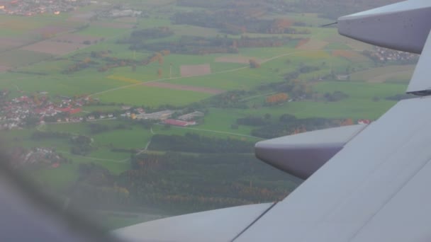 Skog från flygplans fönster — Stockvideo