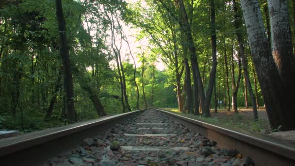 Un solo ferrocarril en el bosque — Vídeos de Stock