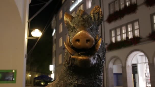 野猪雕像户外 — 图库视频影像