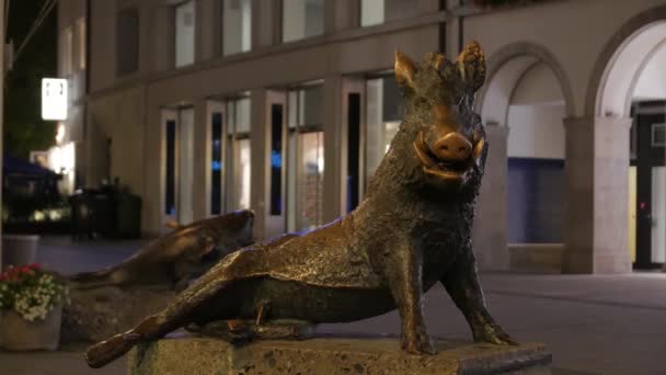 Die Statue des Wildschweins im Freien — Stockvideo