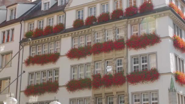 Hermosas flores en la pared del edificio — Vídeos de Stock