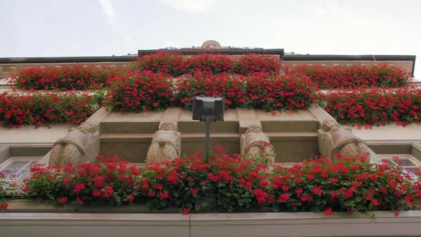 Květiny na fasádě budovy — Stock video
