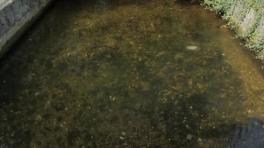 Temiz Suyla Dere Deresi