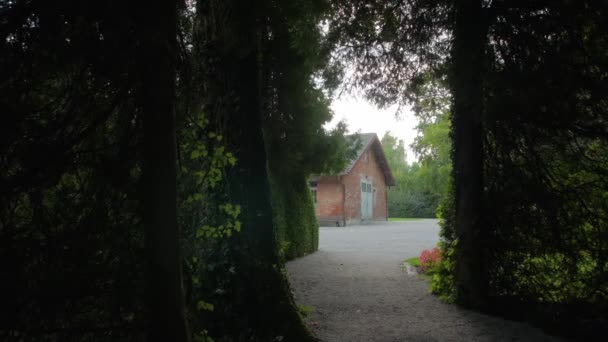 Maison dans la forêt — Video