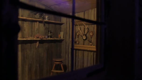 狩猟小屋のトロフィー — ストック動画