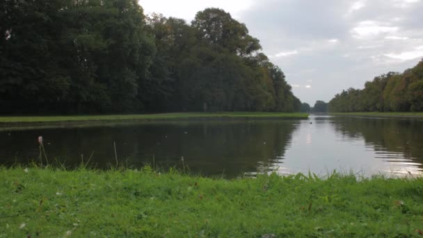 Lago nel verde della foresta — Video Stock