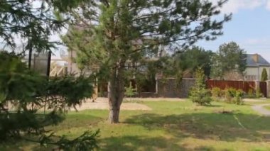 Açık hava Spor Tesisleri