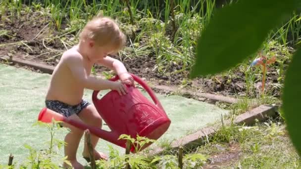 水をやることと少年 — ストック動画