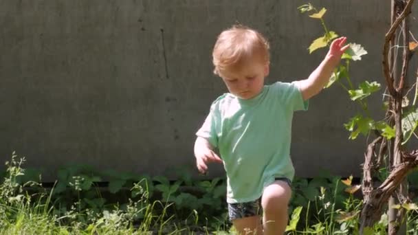 Malý chlapec hraje na dvorku — Stock video