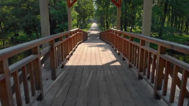 Forest River Wooden Bridge – stockvideo