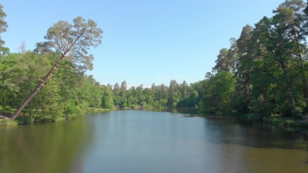 Lago nella foresta sopra l'acqua — Video Stock