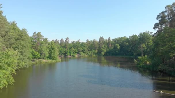 Lake In Forest Drone kilátás — Stock videók