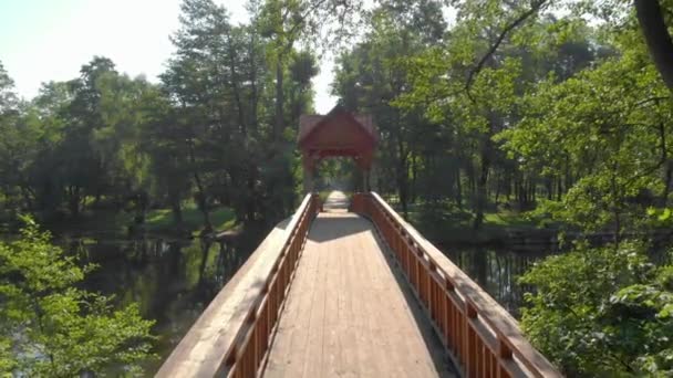 Puente de madera en el bosque — Vídeos de Stock