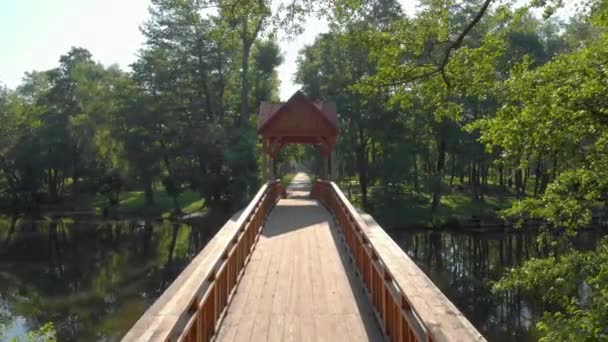 Puente de madera en el bosque Drone — Vídeos de Stock