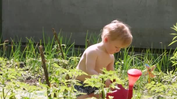 Küçük çocuk arka bahçede oynuyor. — Stok video