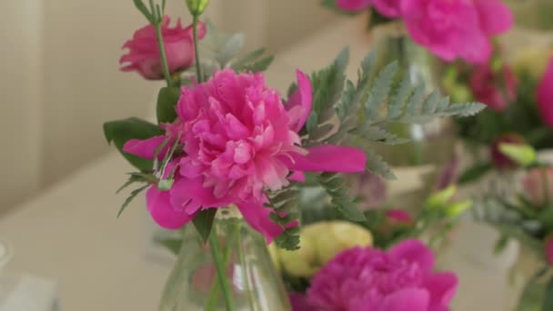 Floristica Peonie rosa — Video Stock