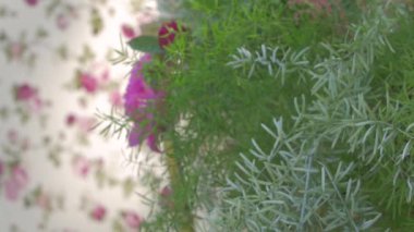 Şakayıklar Düğün Çiçekleri