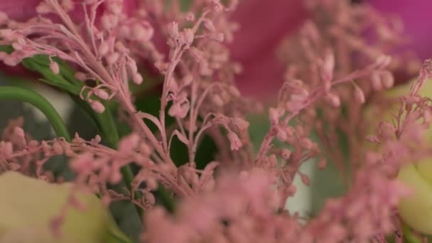 Сушені квіти Флорістика — стокове відео