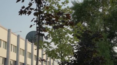 Binadaki Uydu Çanağı