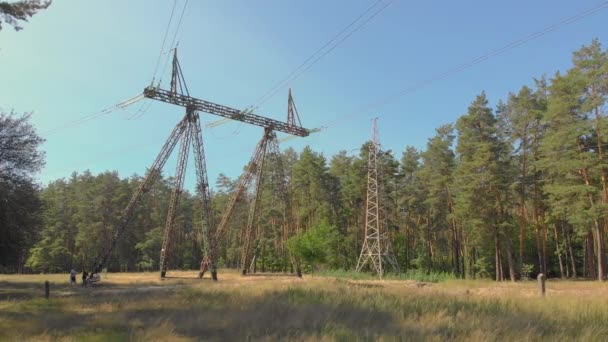 Power Lines Tower Nature — Stock Video